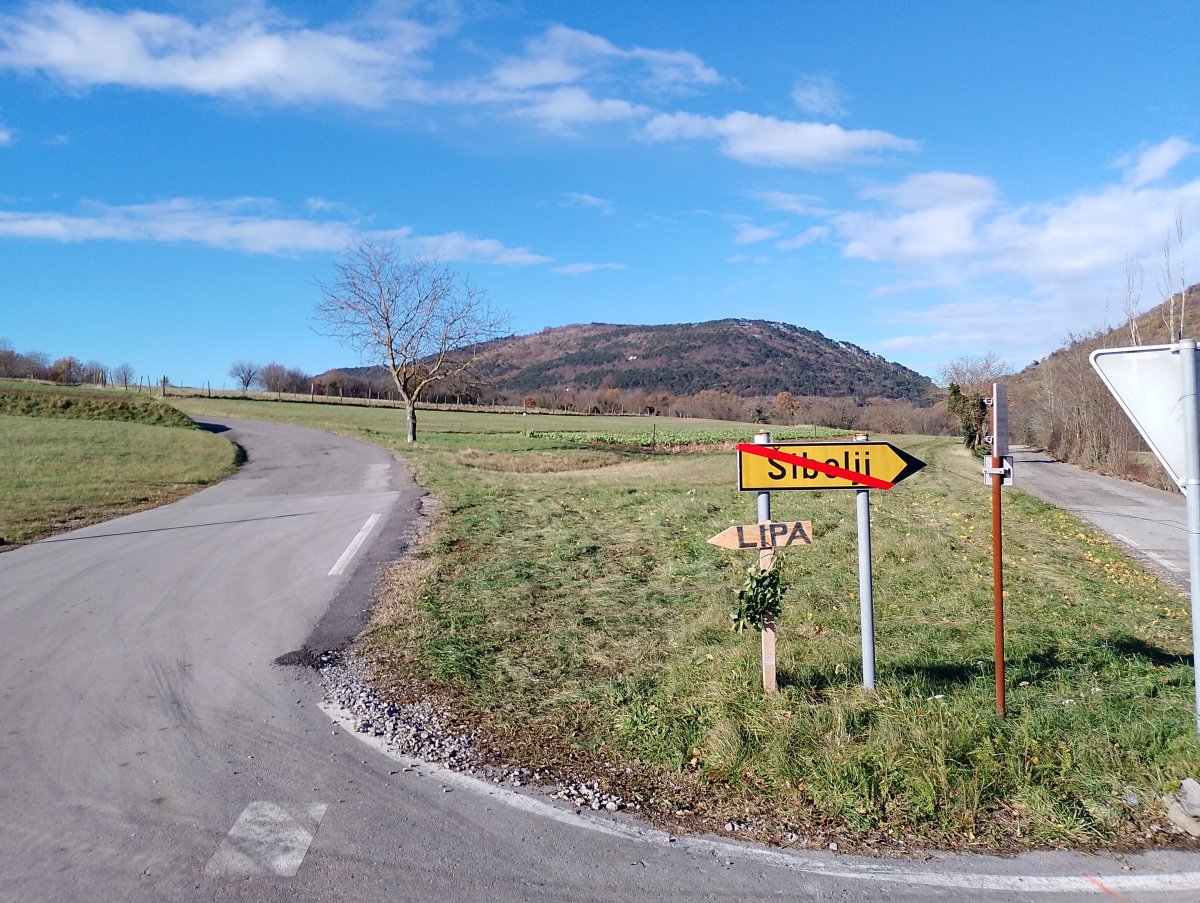 Follow the leafy branch to the Osmica location..