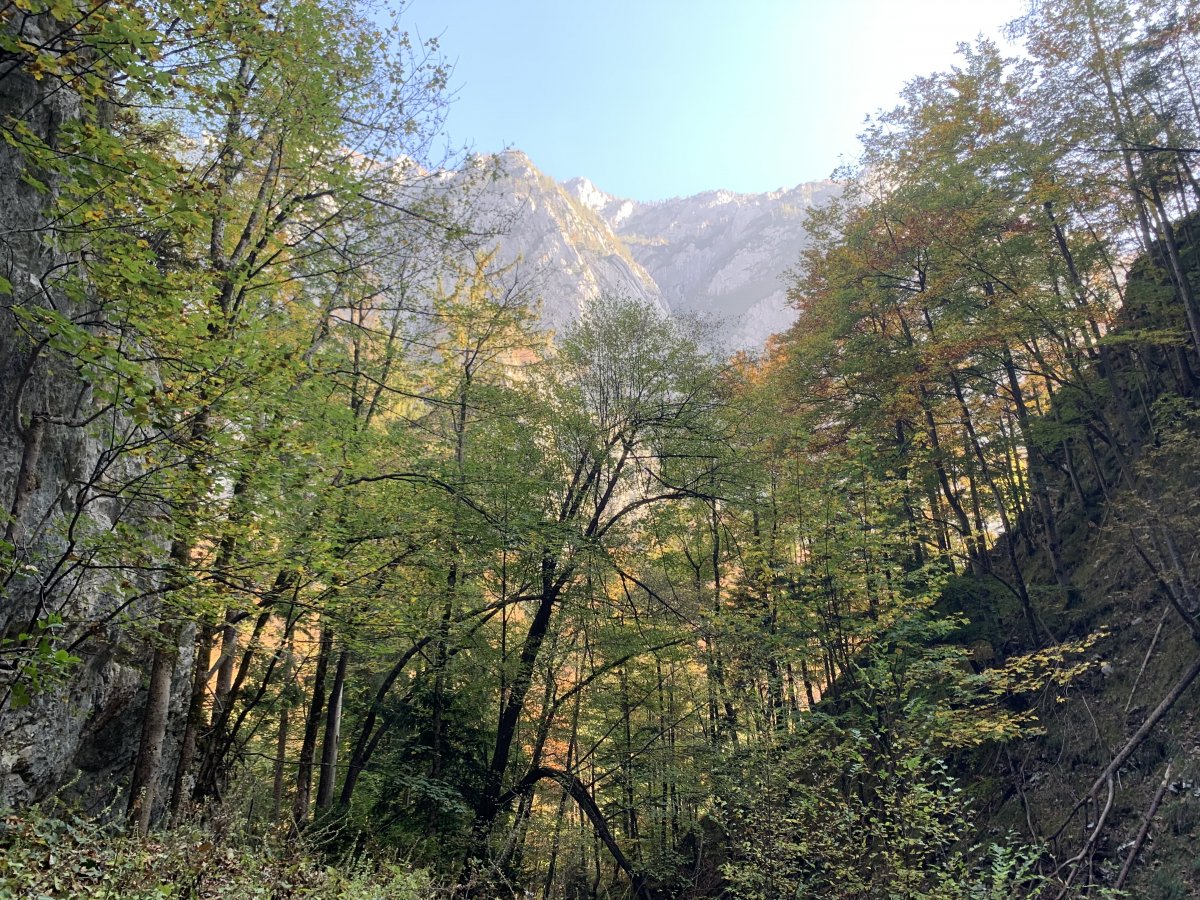 Stunning location for the Kamnik Secret Hospital..