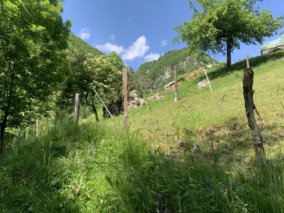 would you guess in a million years that Hospital Number One was up there..