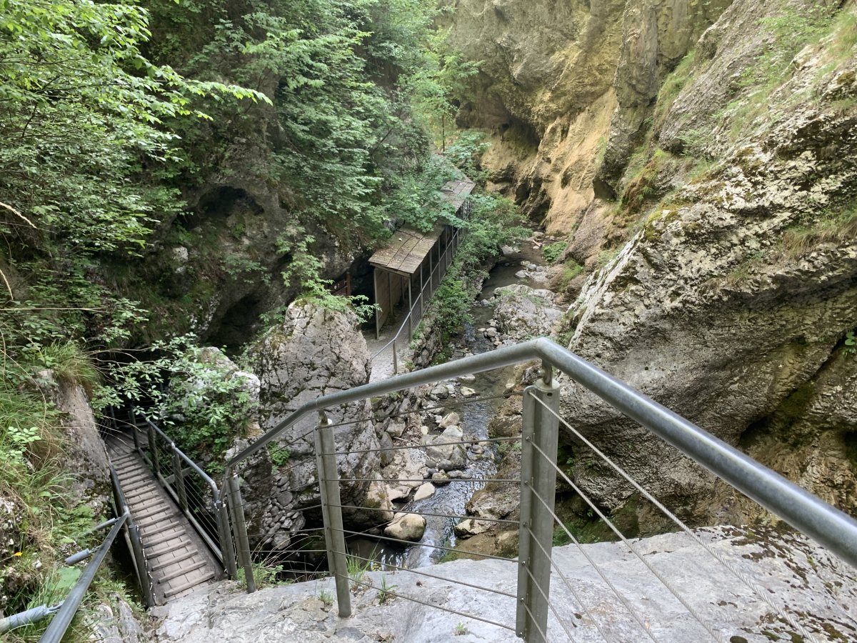 What about this for an entry to a museum.. utterly amazing..