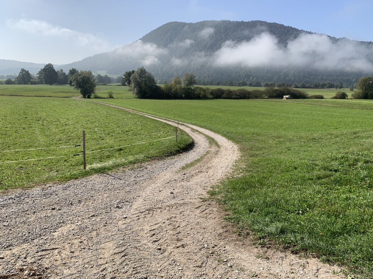 view across the lake to Planina mountain.. this track will disappear under water in the winter..