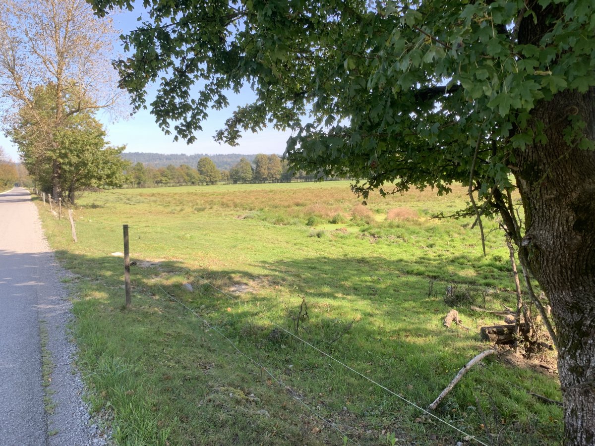 you coud bike or hike here in the middle of a Disappearing Lake..