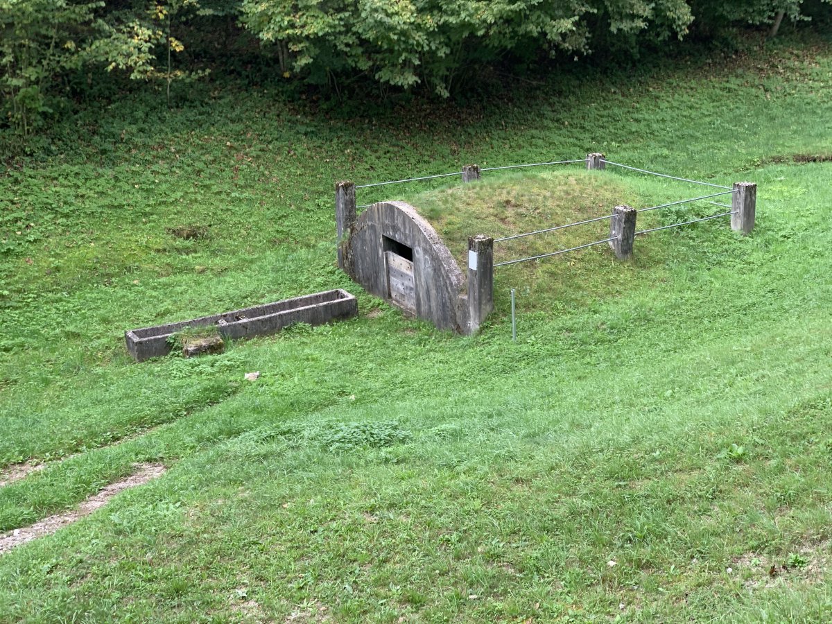 Either a cellar or was it once a Yugoslavian bunker..