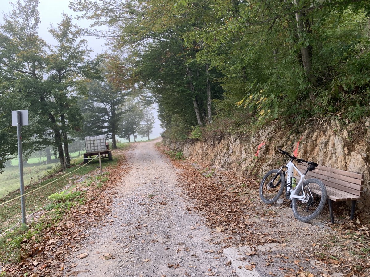 E Biking around Planina Lake