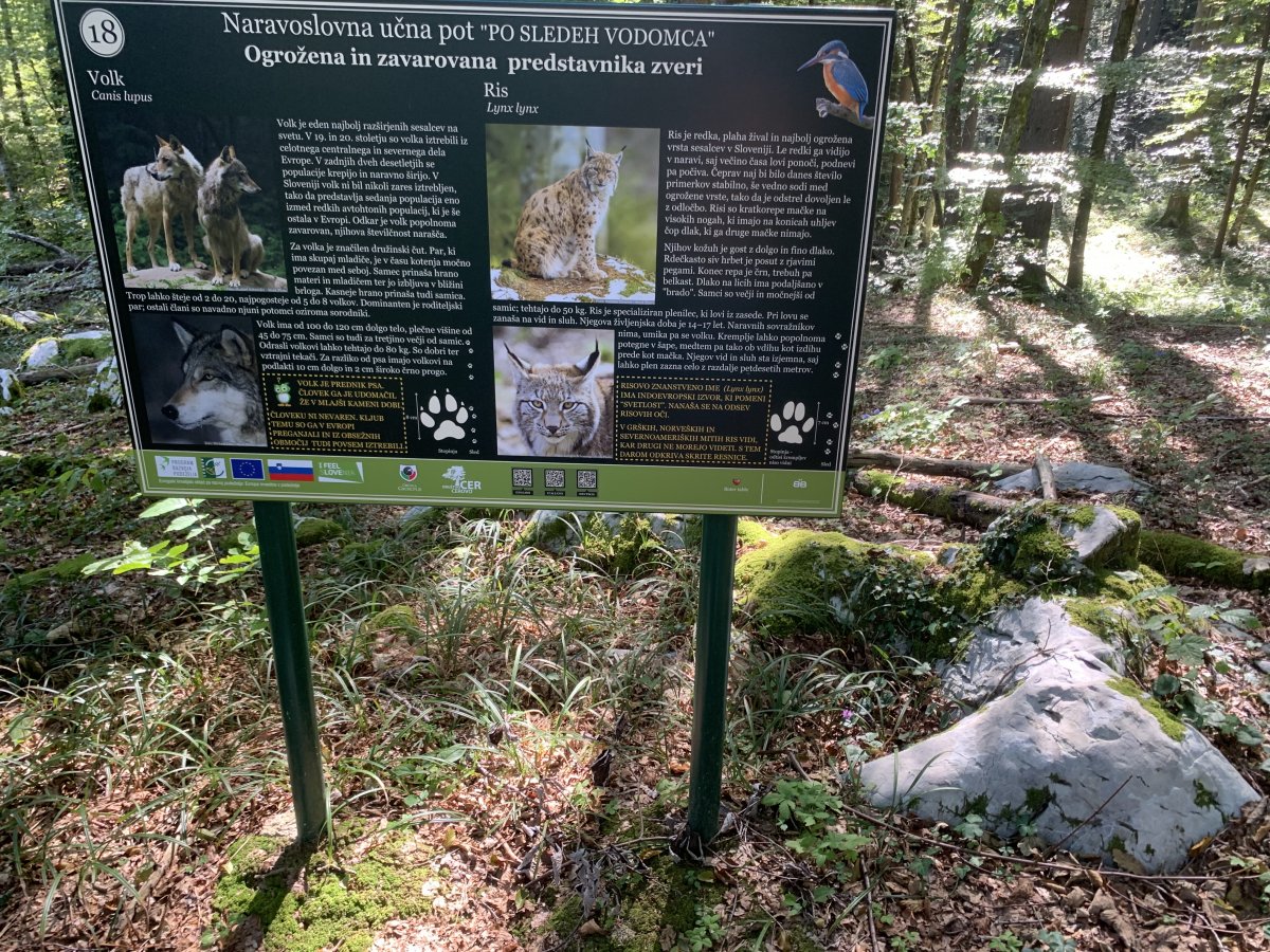Seeing this sign in the middle of the forest can make you a touch nervous, but nothing to worry about.. Seeing this sign in the middle of the forest can make you a touch nervous, but nothing to worry about..