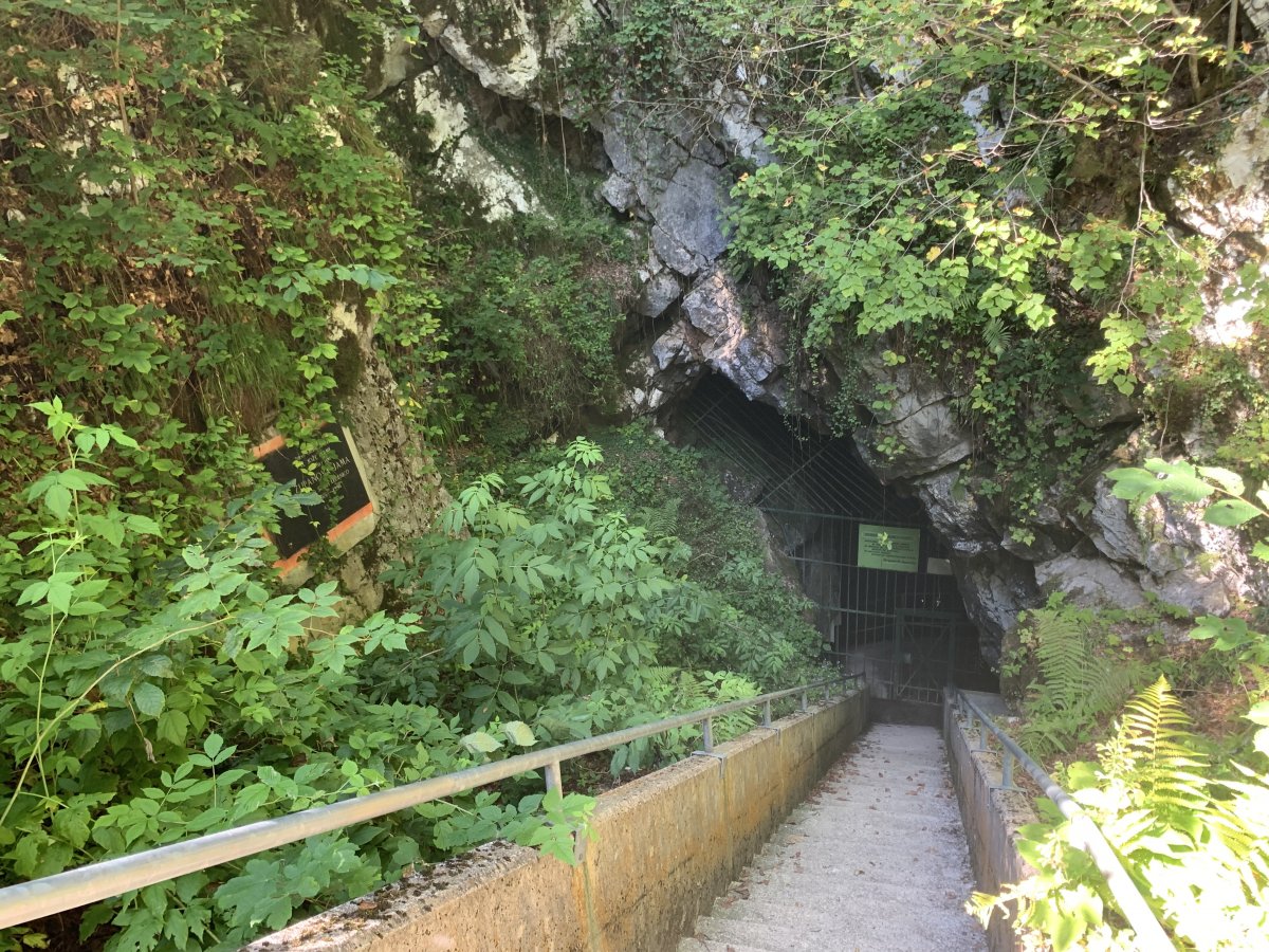 this is the entrance to the ice cave at Supanova cave on the Kingfisher Trail.. this is the entrance to the ice cave at Supanova cave on the Kingfisher Trail..