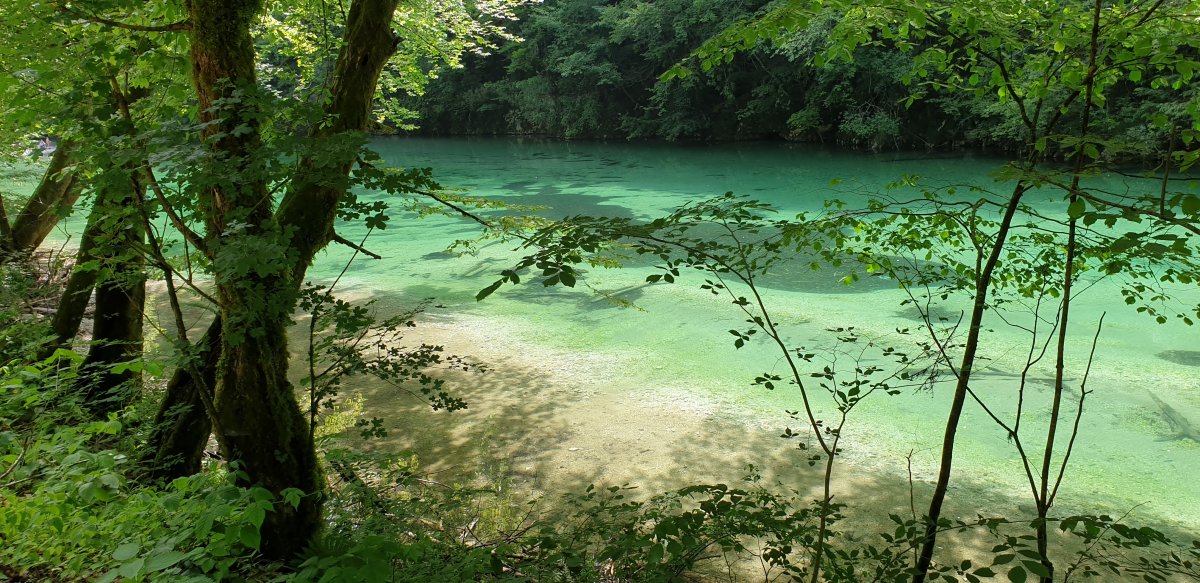 This is why we call it Green Slovenia Baby..