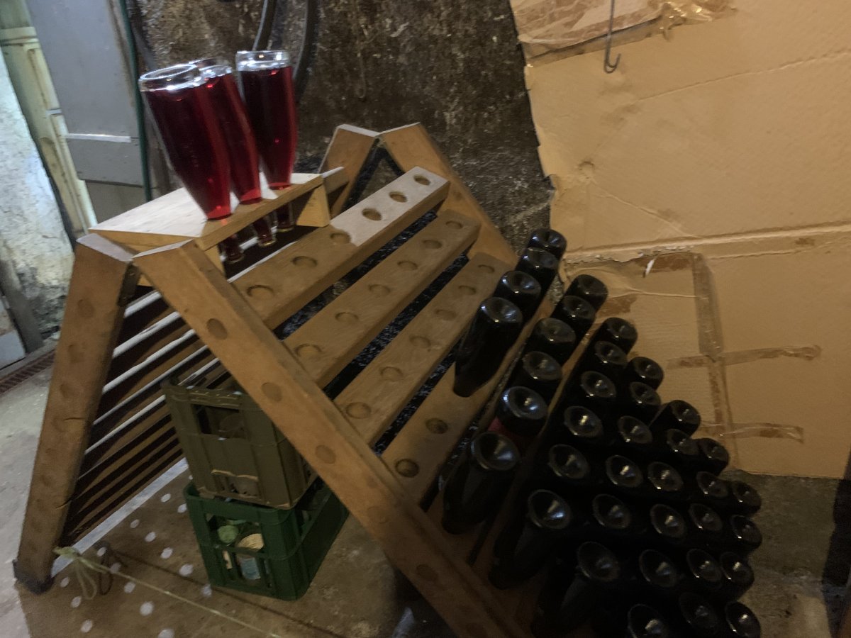 Unique organic Teran sparkling wine is made by hand here in this Red Karst winery..