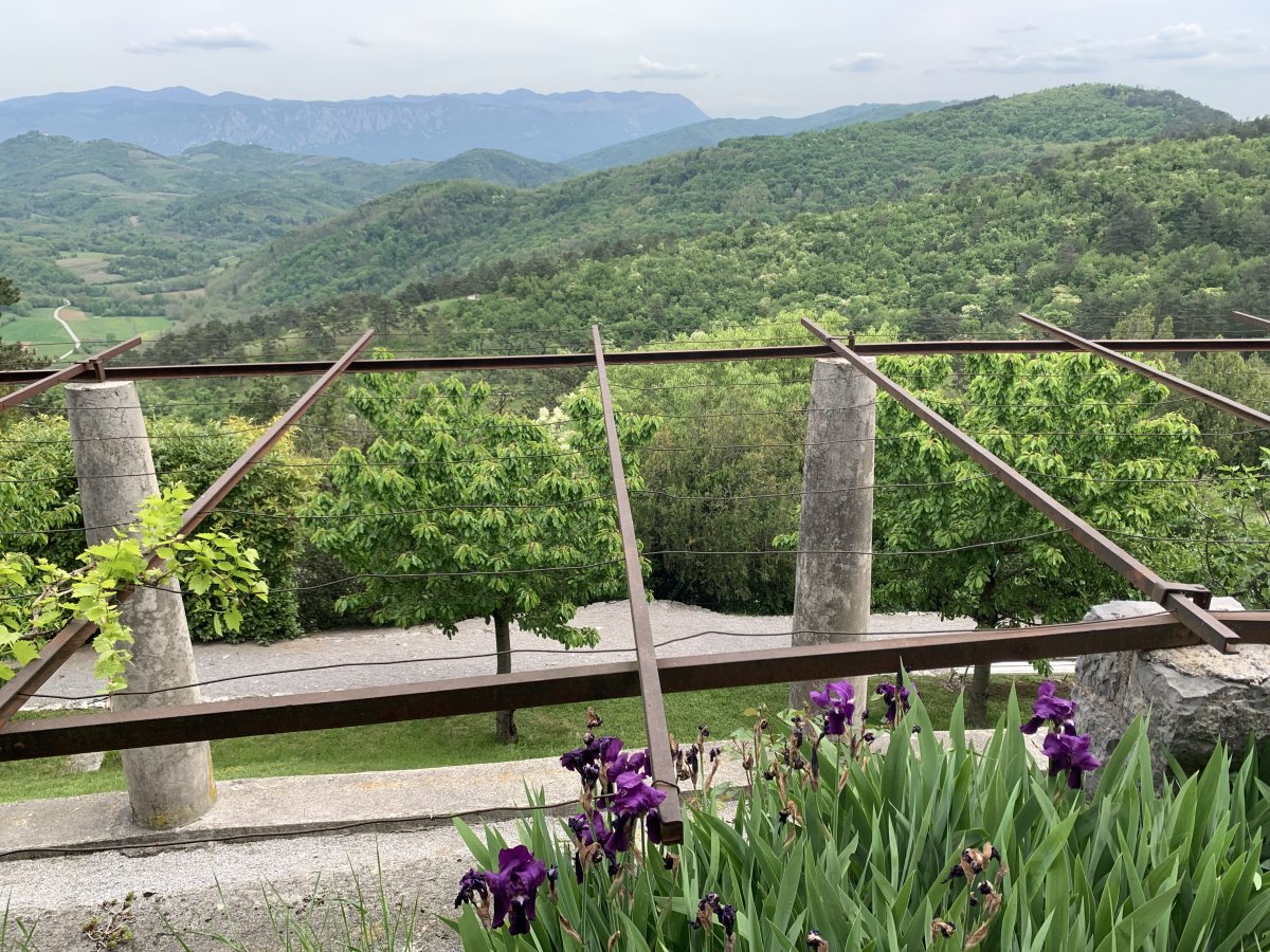 Amazing view across 2 wine regions, the Teran Red Karst AND the Vipava valley to Mt Nanos from Stanjel hill top village..