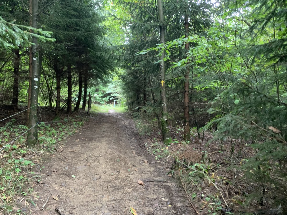 Hike the st James Path in Green Slovenia..