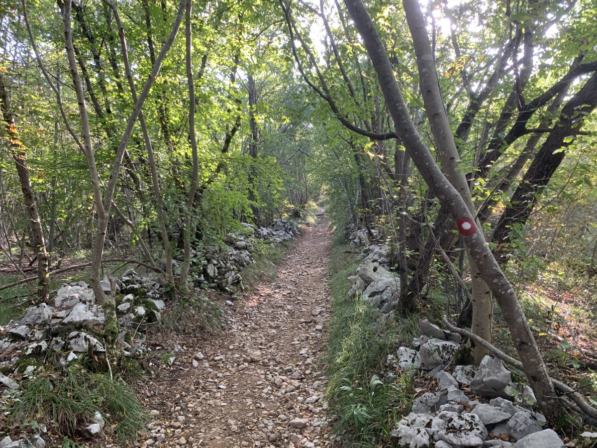 a typical hike in the Red Karst with red soil, white Karst rocks and thick forest..