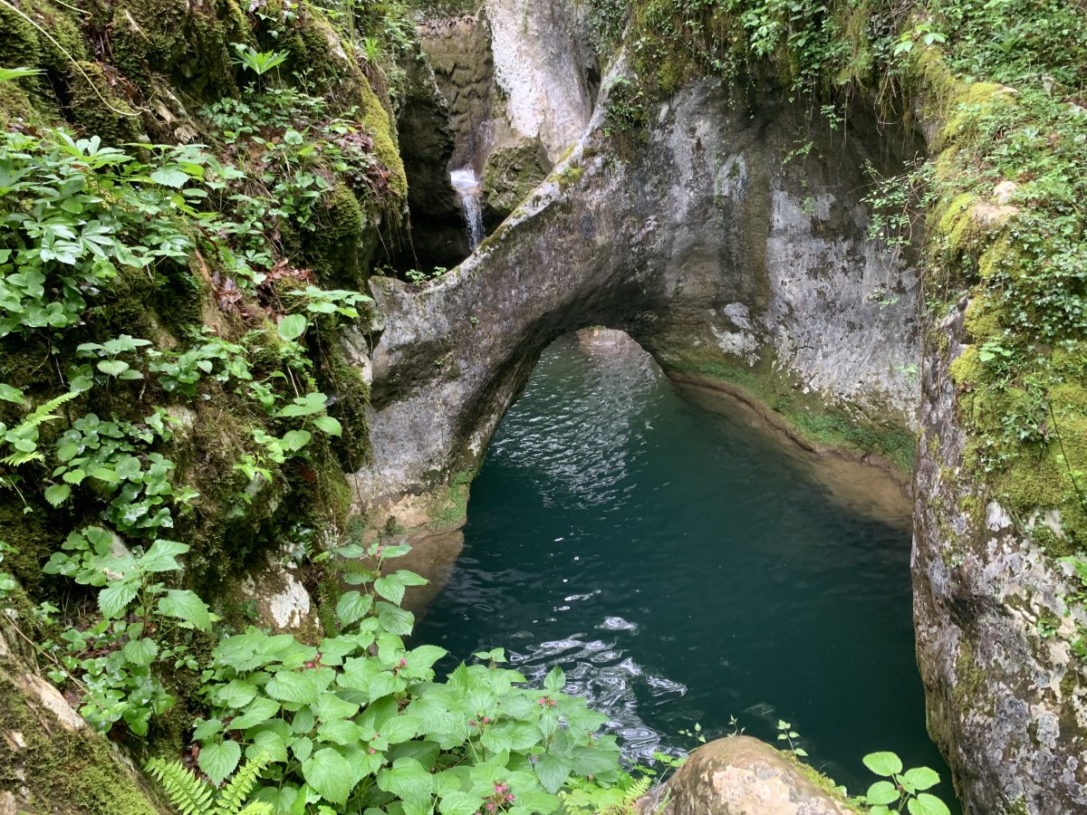 this is why we call it Green Slovenia Baby..