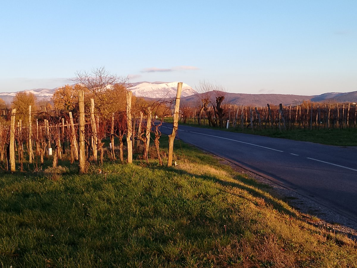 the Lodge is just over the other side of Nanos mountain, seen here covered in snow as a fab autumn vista from the vines of the Red Karst..