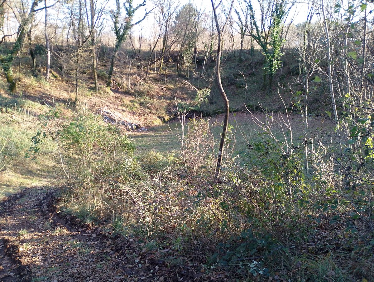 This Karst sinkhole was absolutely fascinating, almost a perfect circle making a field hidden from the road..