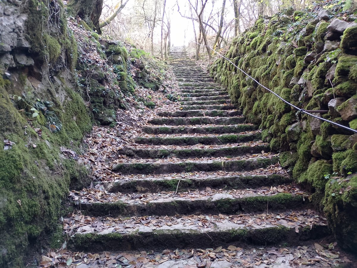 Fantastic Karst staircase down to Potato Cave..