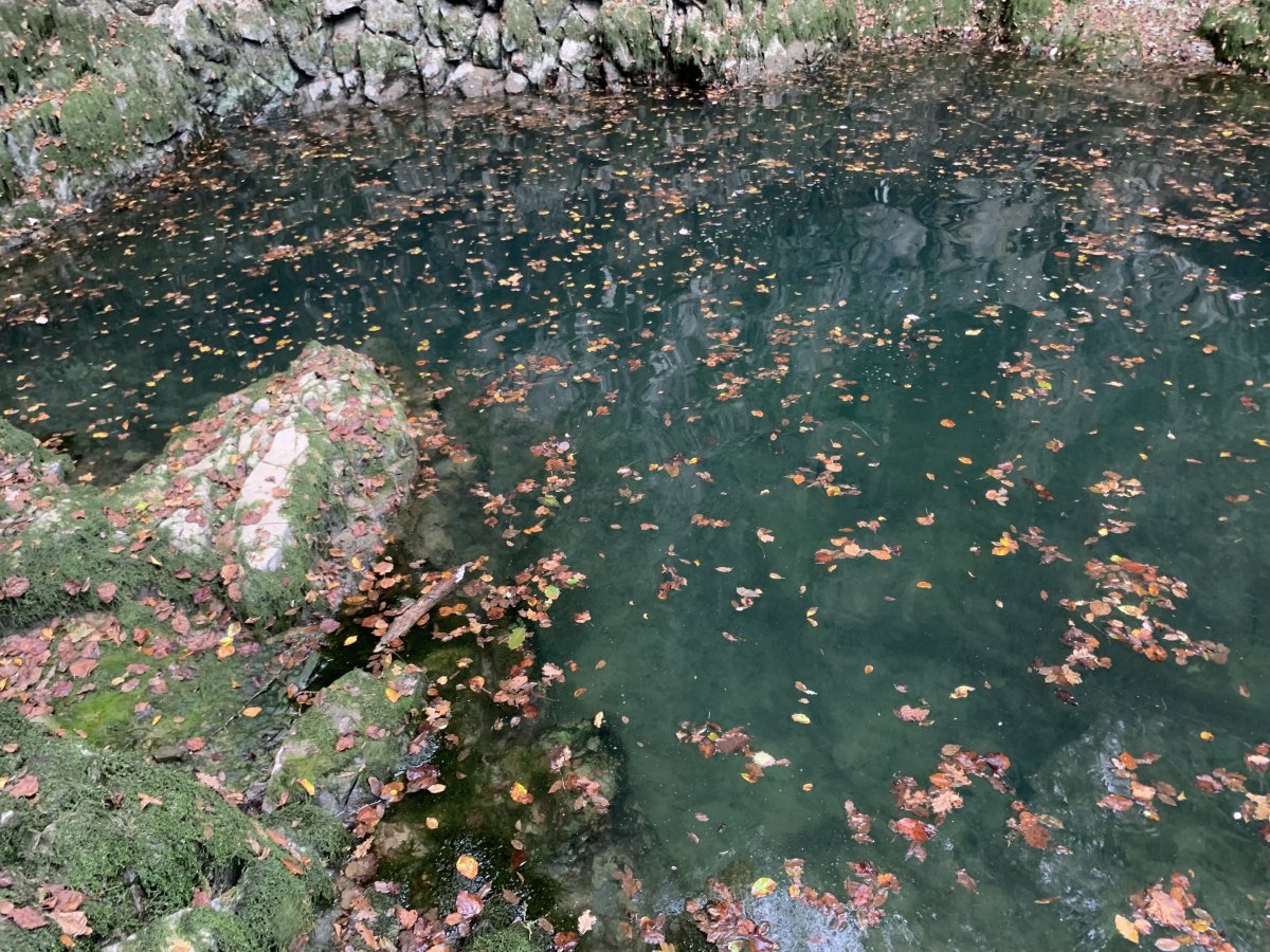 summer.. the Little Window spring..