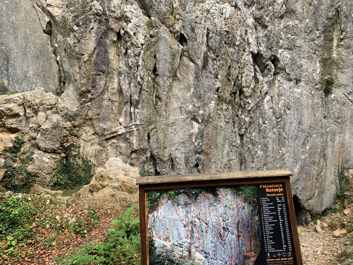 This cliff face at the base of several springs is used for various climbing trails..
