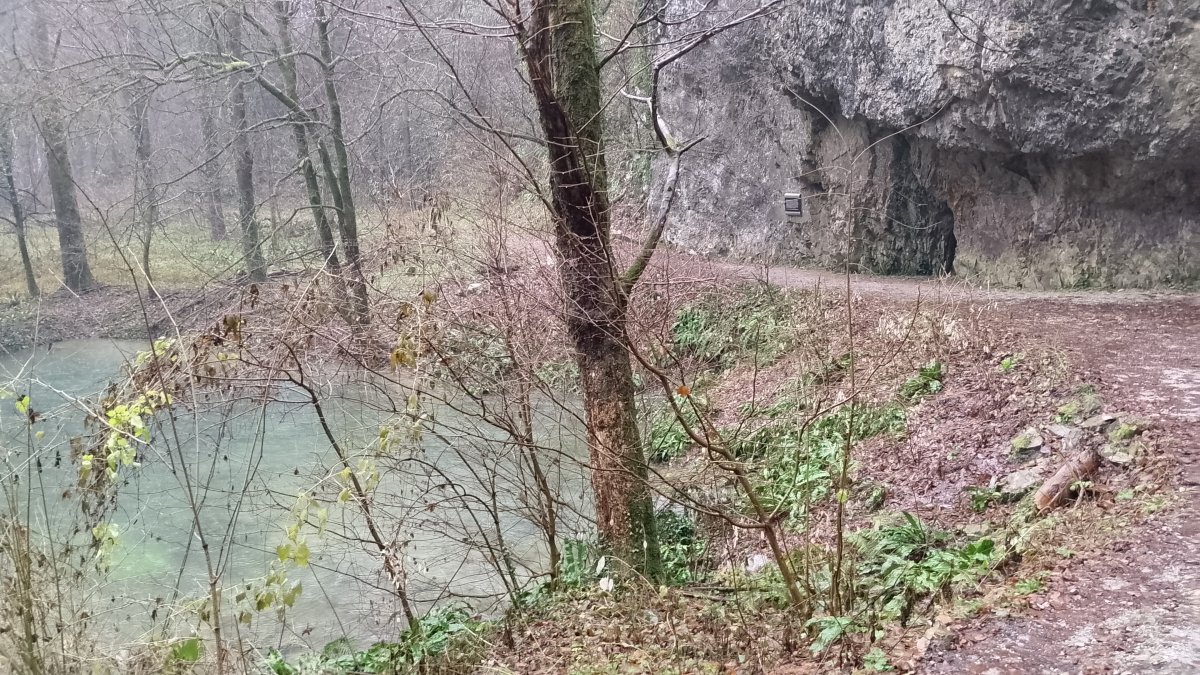 Autumn.. the main spring at Mocilnik has swelled up..