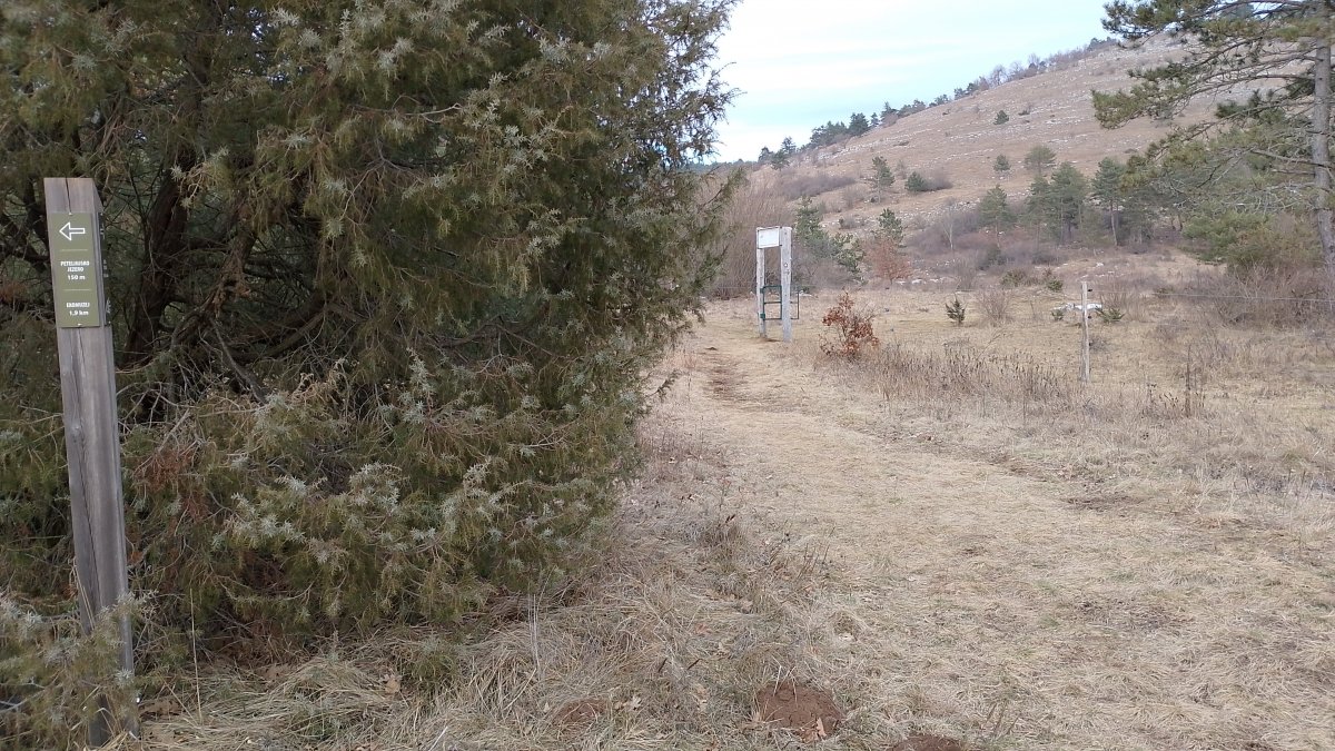 at the end of the lake, take this gate through the cow fence to hike up towards the Church of the Holy Trinity..