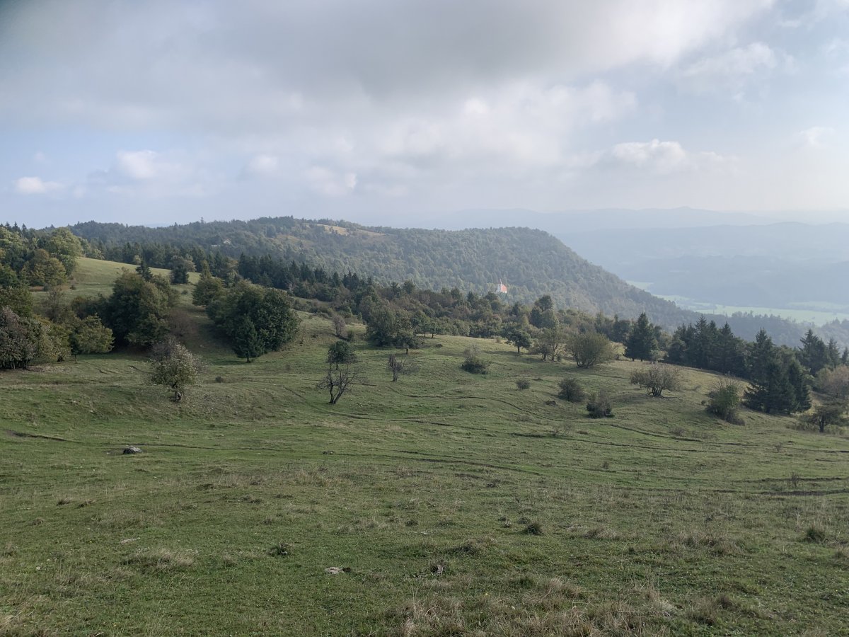 We hiked from the top of the hill down to the Church and then did a full loop back to the car..