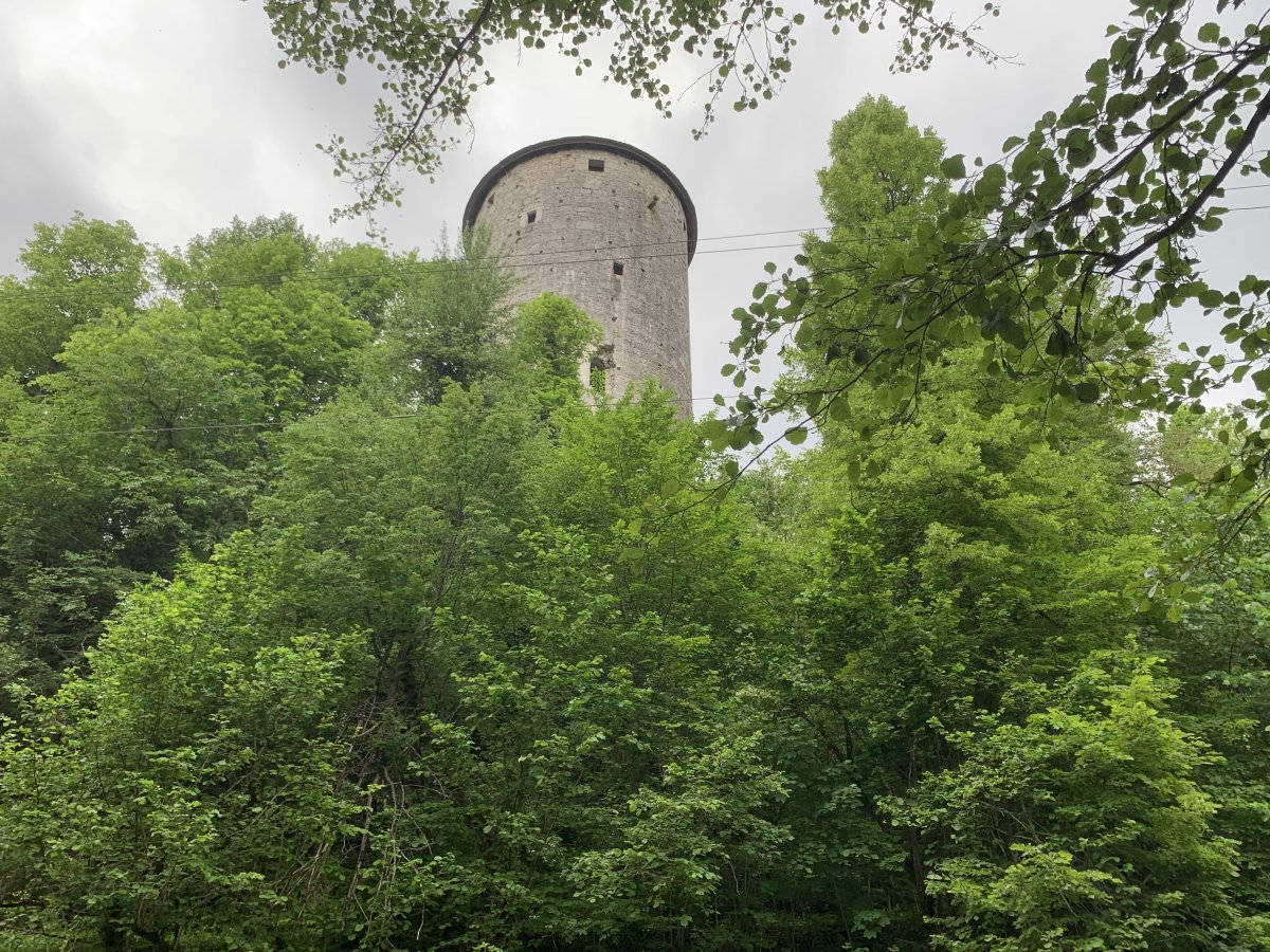 Rapunzel's Tower..