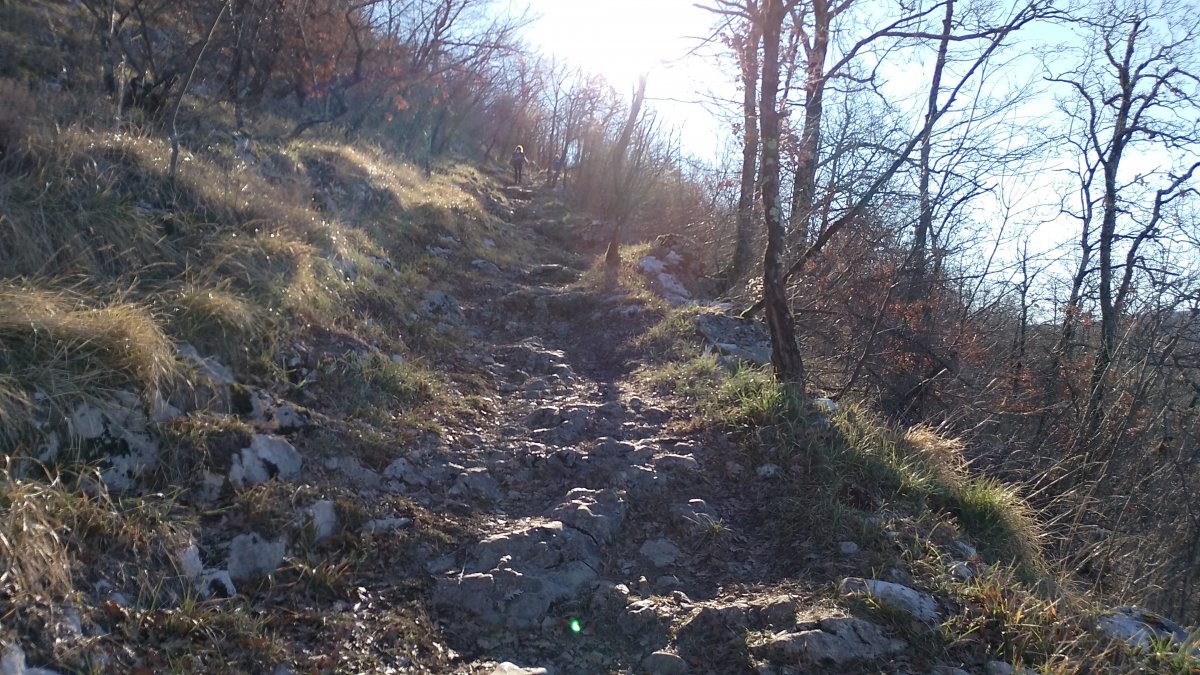 It is never a dangerous hike, but plenty of natural Karst stone rock steps..