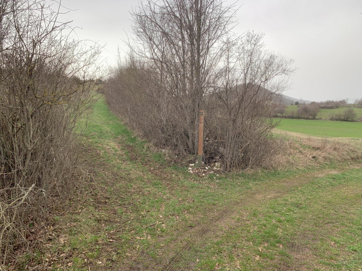 This sign is SOOOO important to show you which green path to take for the Doves cave..