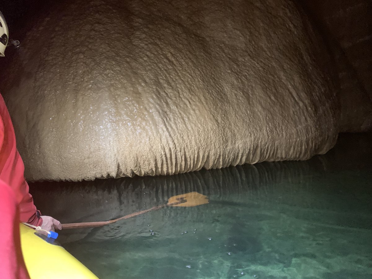 The huge Dripstone mushroom is completely empty underneath..