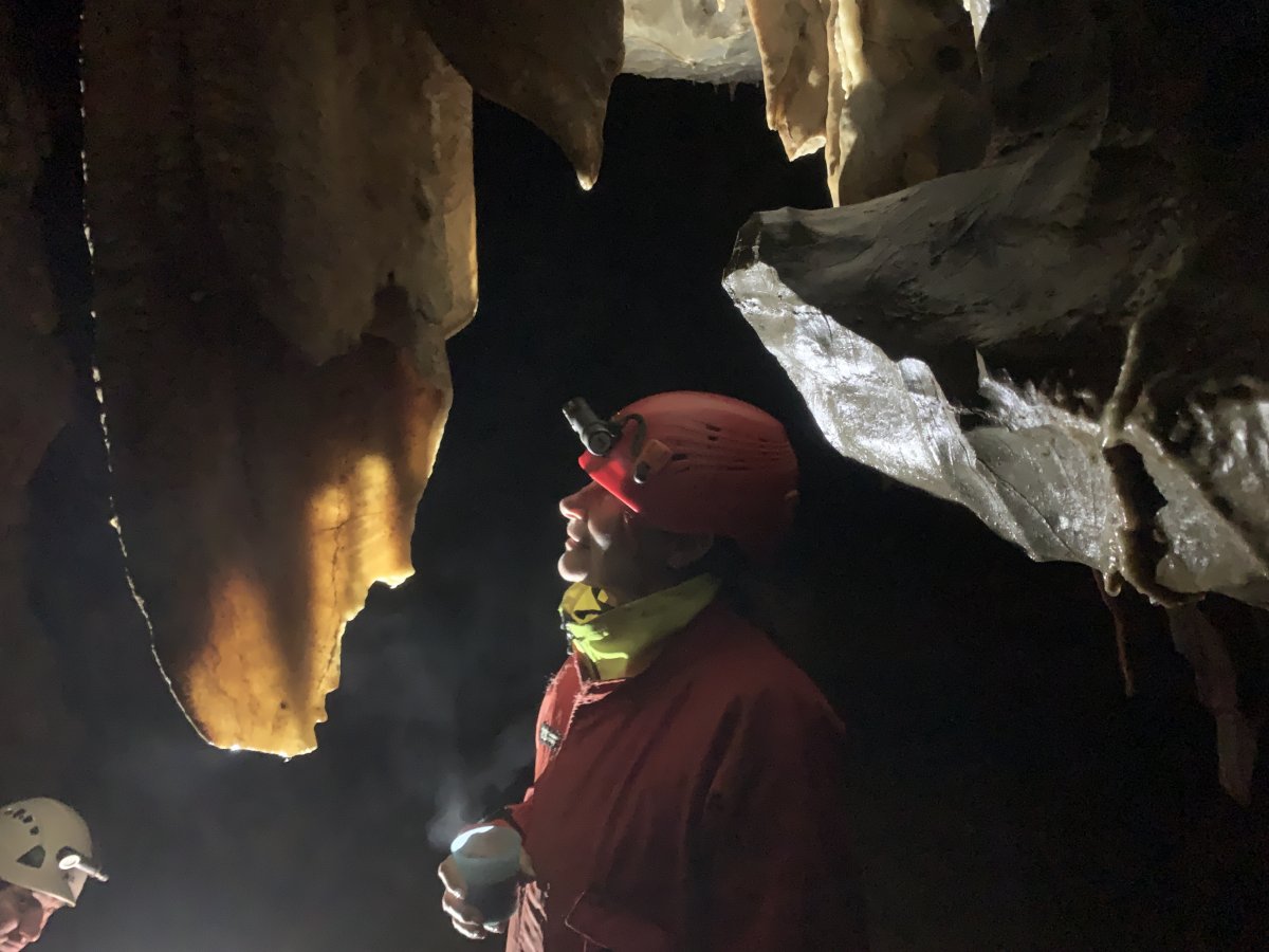 Most certainly the best underground cafe in the whole of Green Slovenia..
