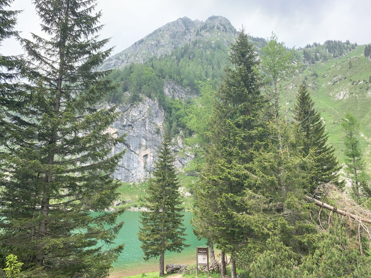 This will be your first view of the lake..