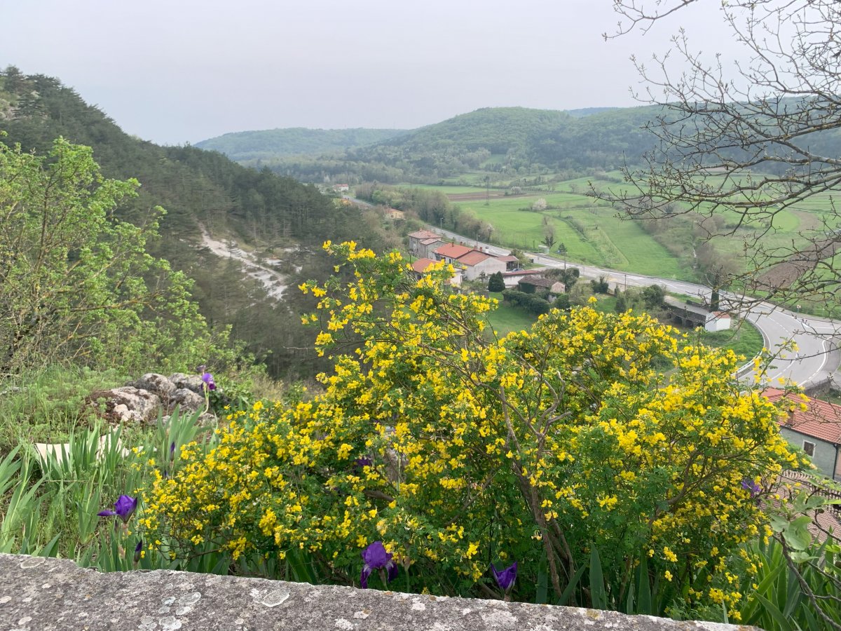 This road leads to the Slovenian border with Istrijan Croatia and Buzet.. This road leads to the Slovenian border with Istrijan Croatia and Buzet..