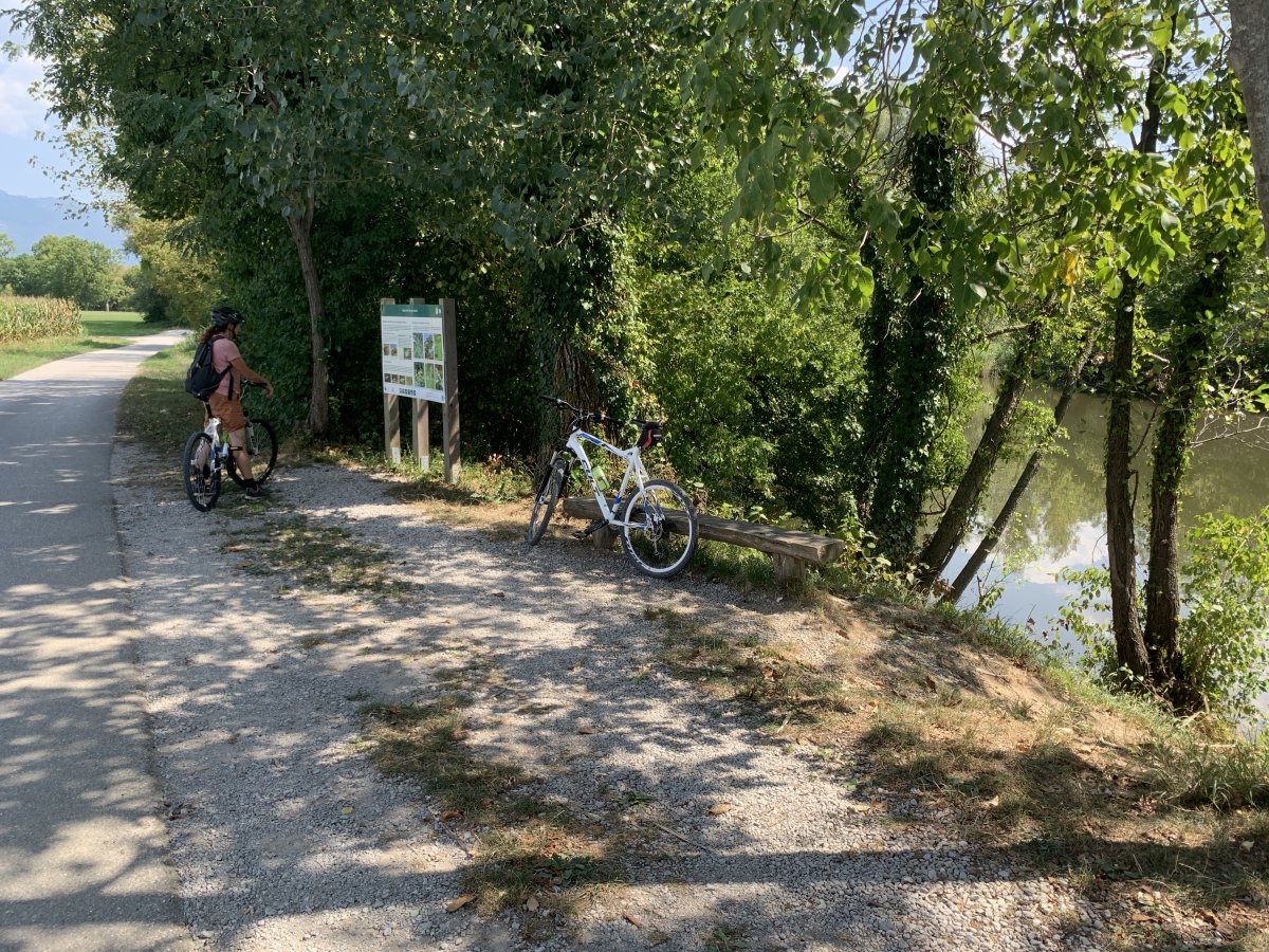 Lots of info to start with and then you are on your own..