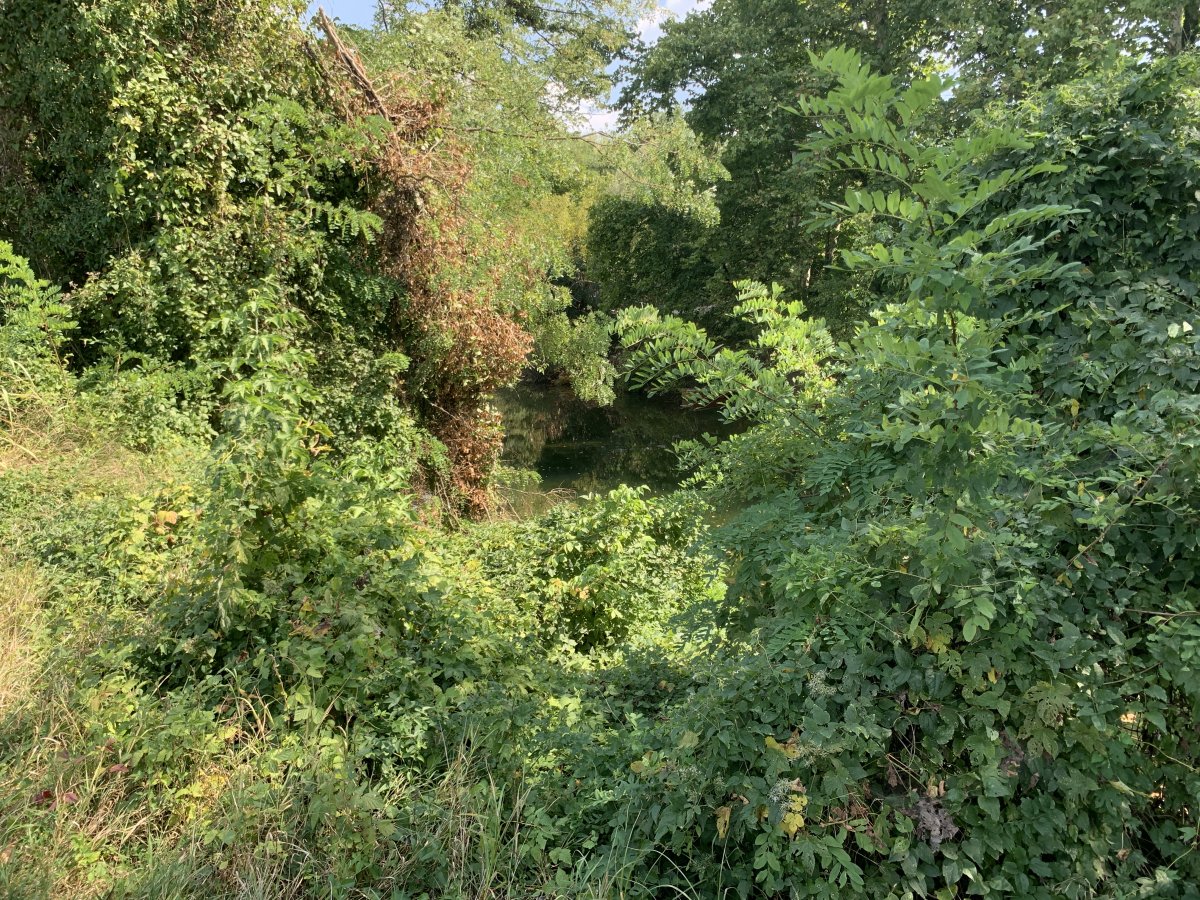 There will be parts of this adventure when this will be your view of the river..