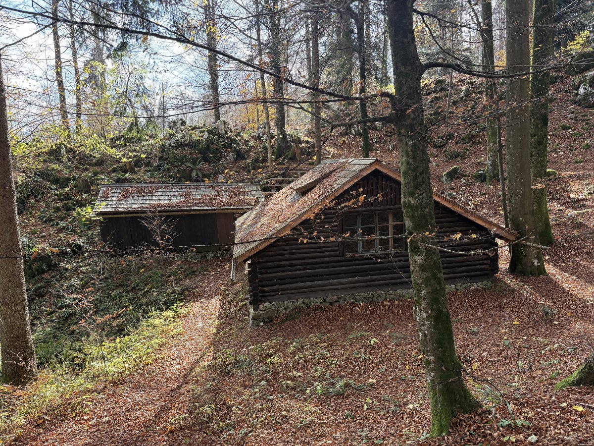 BASE 20 WW2 Partisan Camp
