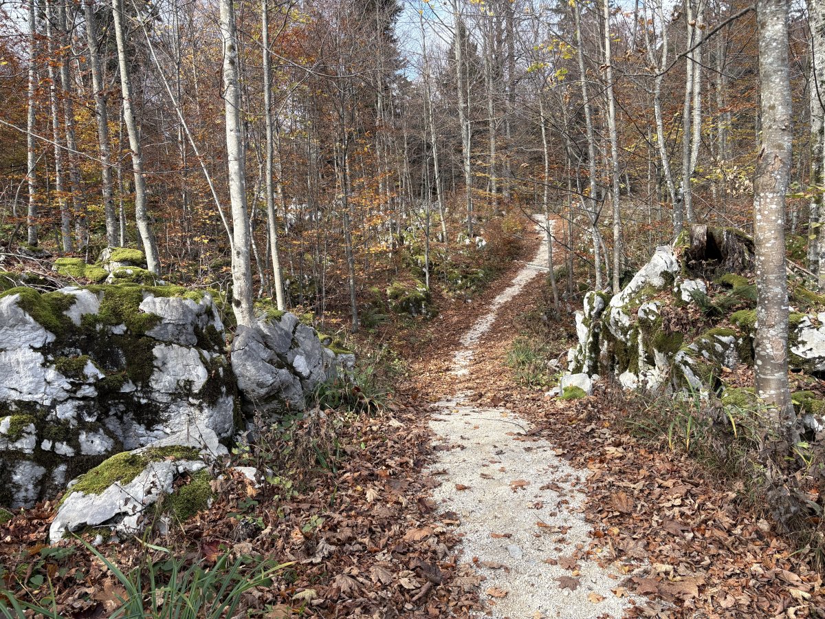 BASE 20 WW2 Partisan Camp