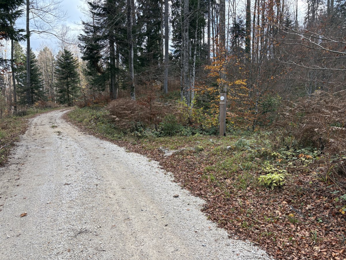 BASE 20 WW2 Partisan Camp
