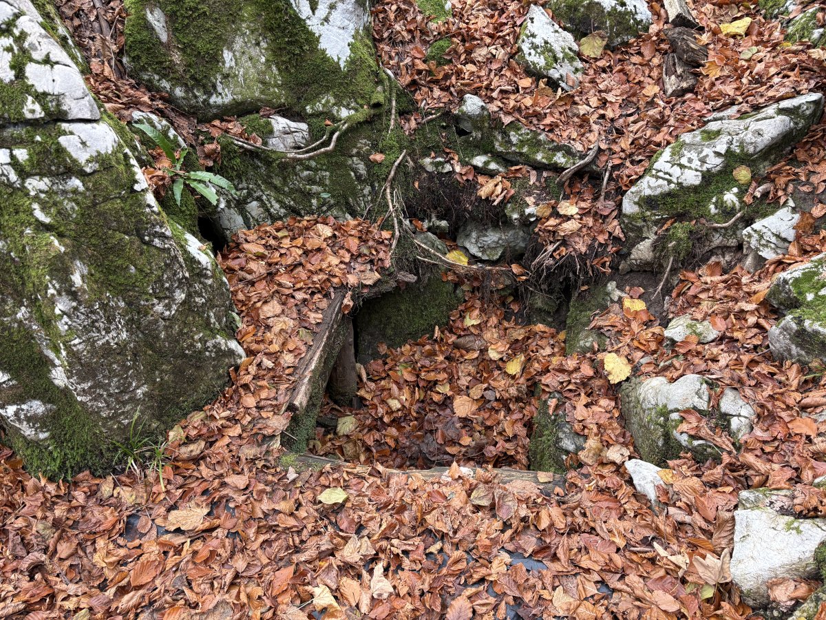 BASE 20 WW2 Partisan Camp
