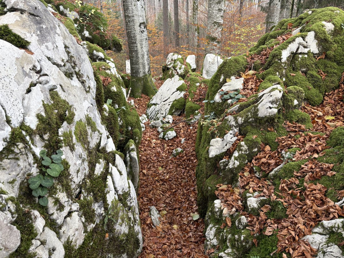 BASE 20 WW2 Partisan Camp