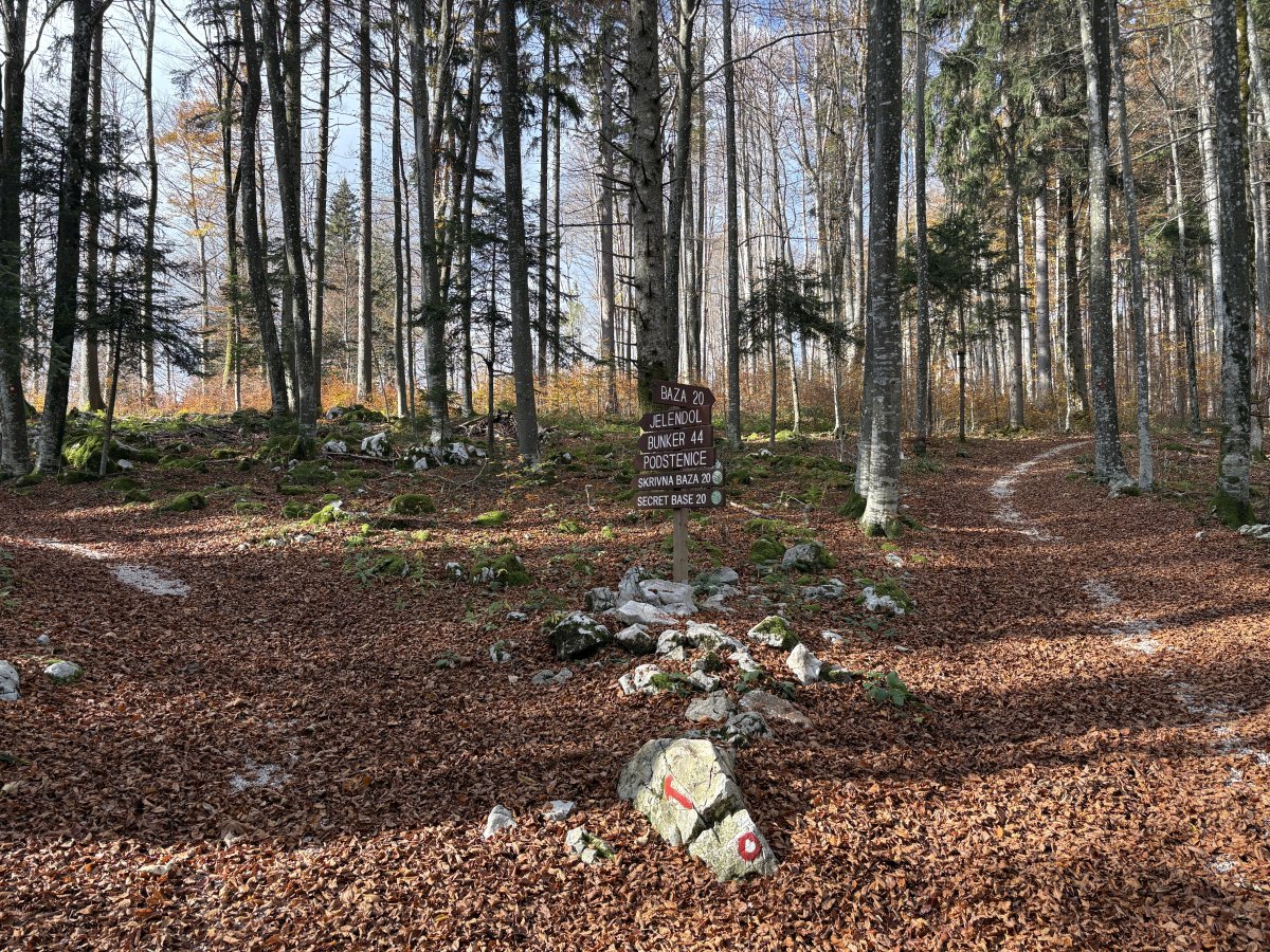 BASE 20 WW2 Partisan Camp