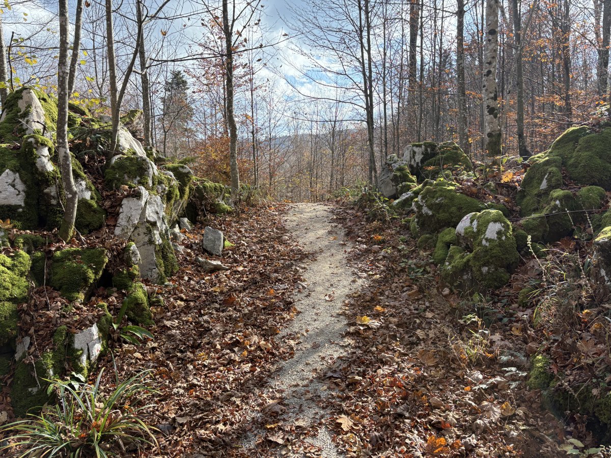 BASE 20 WW2 Partisan Camp