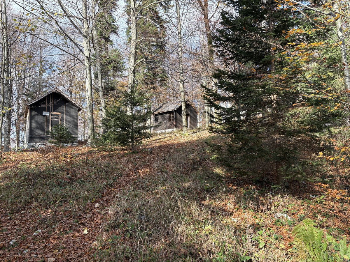 BASE 20 WW2 Partisan Camp