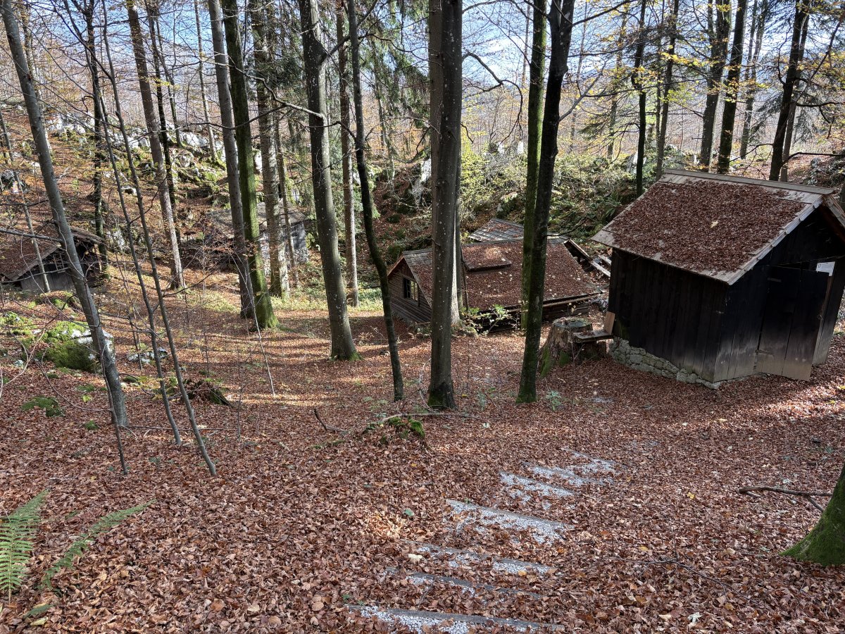 BASE 20 WW2 Partisan Camp