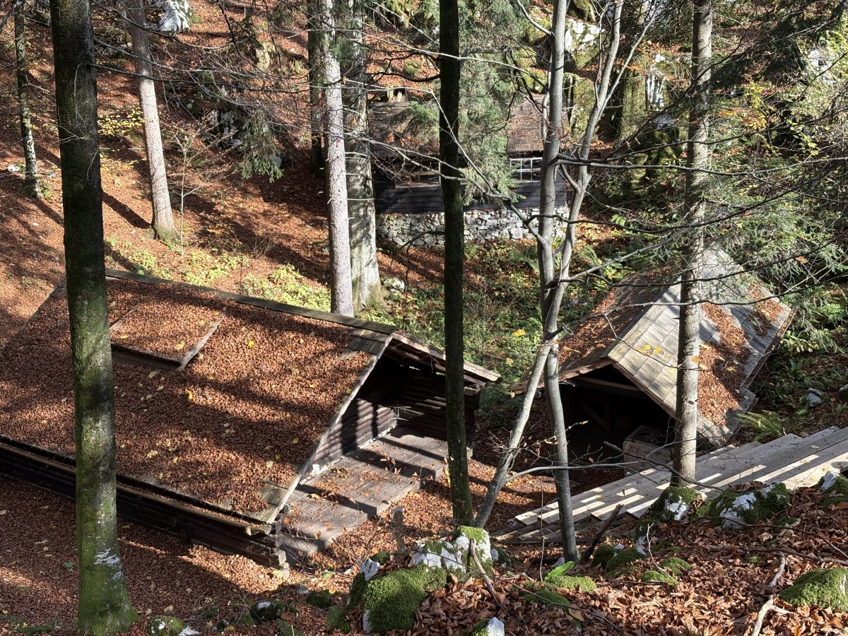 BASE 20 WW2 Partisan Camp