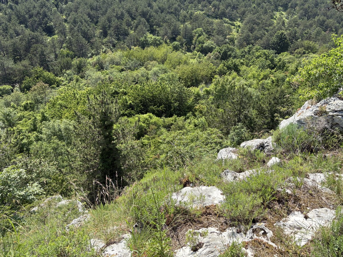 Slovenia is just so wonderful you can see the change in scenery and geology right in front of your eyes in so many different places..
