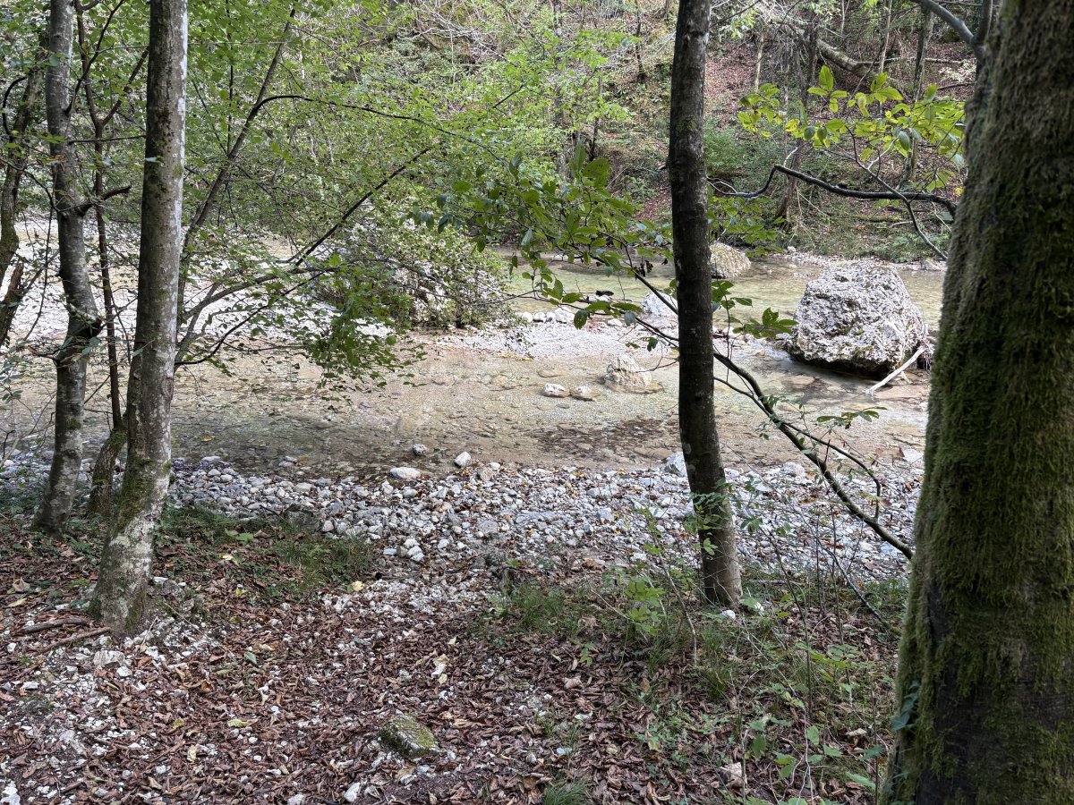 Plenty of places to pop down to the river.. Plenty of places to pop down to the river..