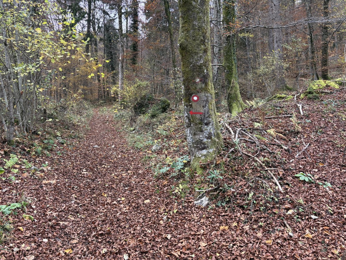 This is one of the few early junctions where you really do need a sign in the right direction.. This is one of the few early junctions where you really do need a sign in the right direction..