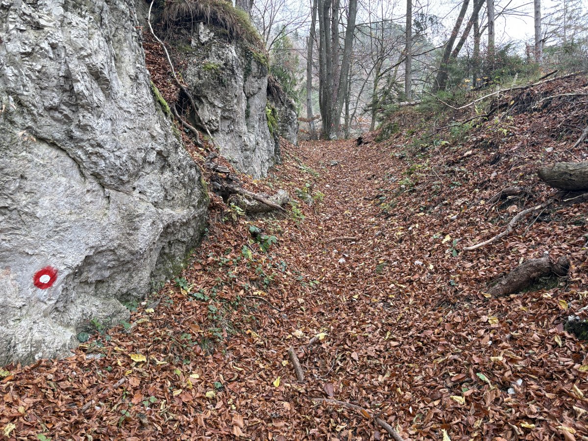The red circles will help you out, but the path is pretty clear and pretty vertical.. The red circles will help you out, but the path is pretty clear and pretty vertical..