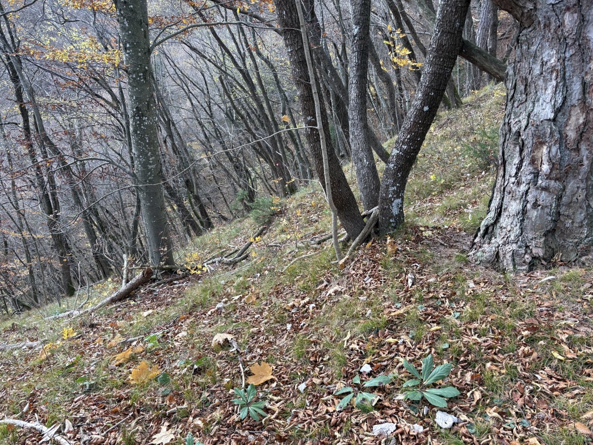 The secret hospital is 20 mins in that direction, but this photo shows how steep it is up here.. The secret hospital is 20 mins in that direction, but this photo shows how steep it is up here..