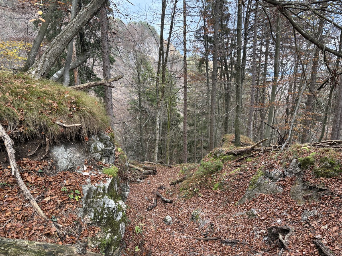 A really fun hike up the side of the mountain.. A really fun hike up the side of the mountain..