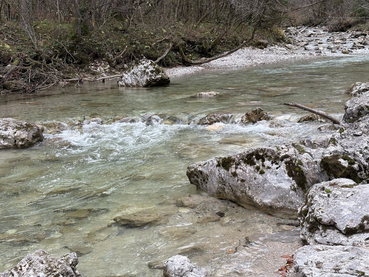 They told us at the restaurant that even in summer the river flows well here.. They told us at the restaurant that even in summer the river flows well here..